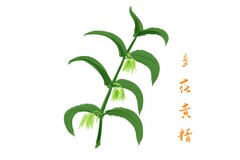 生地中考百日誓师口号50字