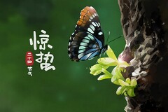 氨铵盐_氨铵盐教学课件